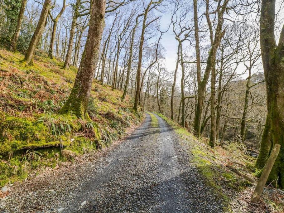 Вилла Y Cwtch - Panoramic Mountain Views Within Snowdonia'S National Park - 4X4 Recommended Долгеллау Экстерьер фото