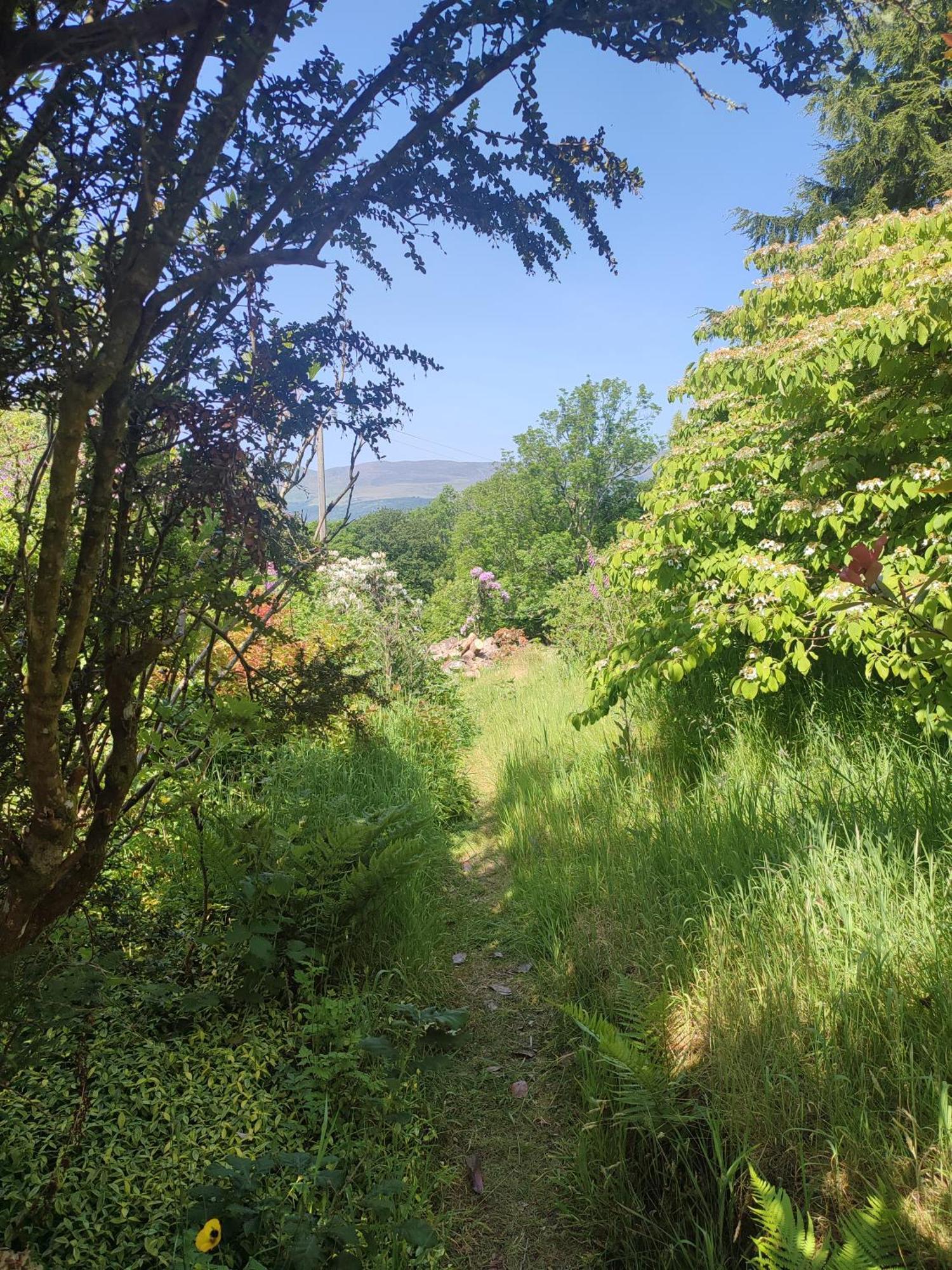 Вилла Y Cwtch - Panoramic Mountain Views Within Snowdonia'S National Park - 4X4 Recommended Долгеллау Экстерьер фото
