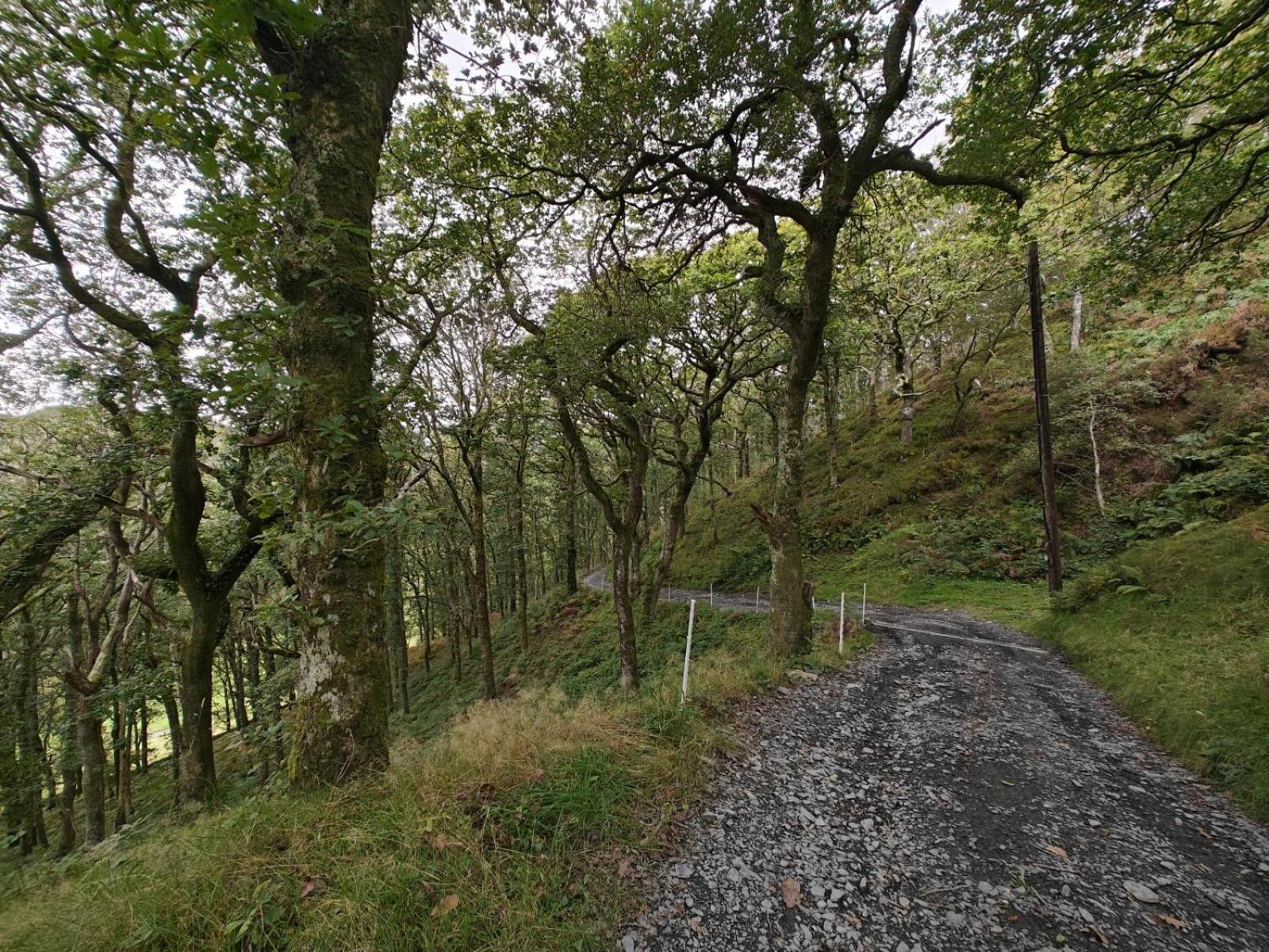 Вилла Y Cwtch - Panoramic Mountain Views Within Snowdonia'S National Park - 4X4 Recommended Долгеллау Экстерьер фото